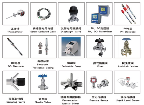 ca888亚洲城(中国游)官方网站